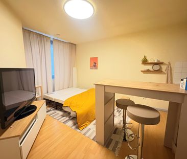 Location Appartement 1 pièce 17m² CLERMONT FERRAND 63000 - Photo 1