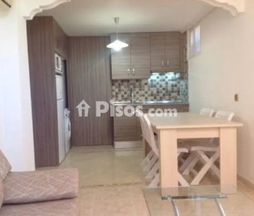 Casa en alquiler en Cabo Roig-La Zenia-La Regia - Photo 6