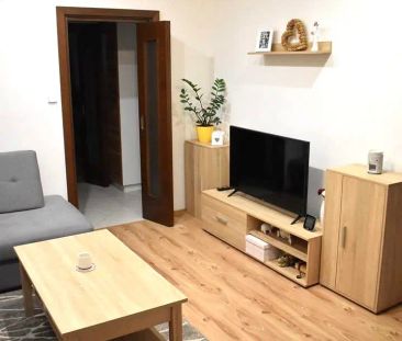 Pronájem bytu 2+1 Veselí nad Moravou - Hutník - Photo 3