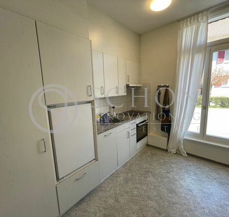 Loft | Frisch renovierte 2-Zimmer Loft-Wohnung - Foto 3