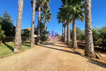 Moradia T3+1 em Faro