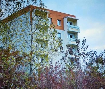 1-Raum-Eigenstumswohung in Weimar-Schöndorf zu vermieten - Foto 1