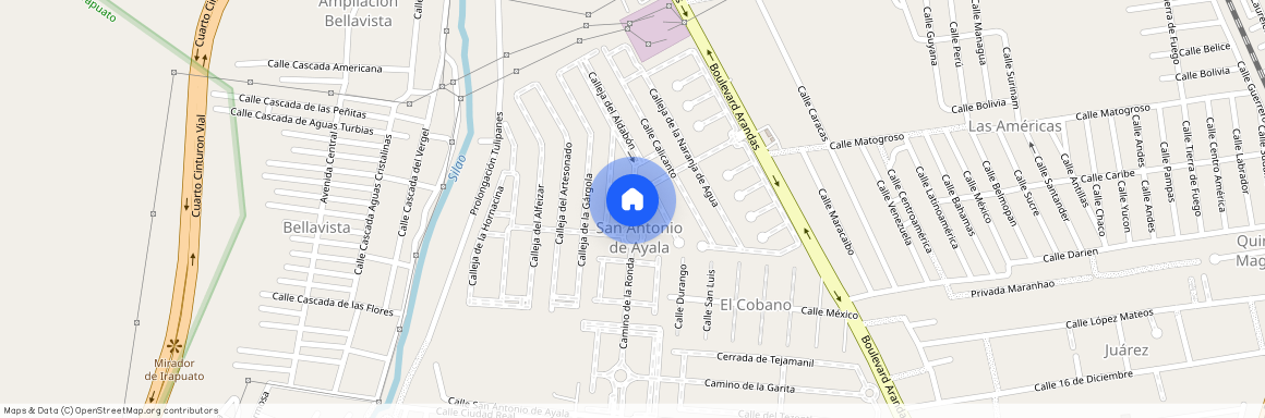 Camino de la Ronda 527, San Antonio de Ayala, 36600 Irapuato, GUA, Mexico