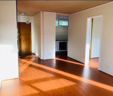 Immaculate One-Bedroom Apartment in the Heart of Ashfield - Photo 2