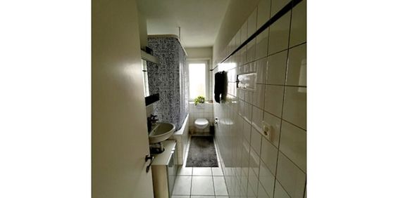 3 Zimmer-Wohnung in Zürich - Kreis 11 Allenmoos, möbliert, auf Zeit - Photo 3