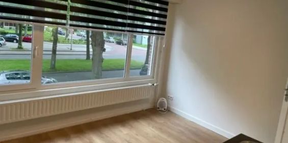 Studio Westerpark, Tilburg - À louer - Foto 3