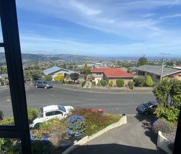 Sunny on Strode - Photo 4