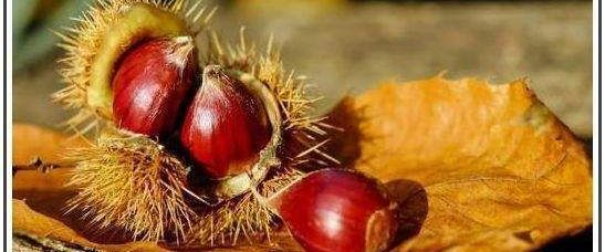 NB, elegantes Teildachgeschoß mit Sonnenterrasse in Hohenschönhausen wo die Welt noch in Ordnung ist - Photo 1