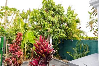 Maspalomas, Canary Islands 35100