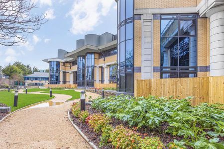 Studio to rent - Photo 3