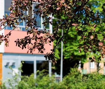 Tvärgatan 5 - Photo 4