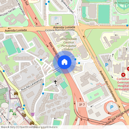 Dr Azevedo Neves, Lisboa