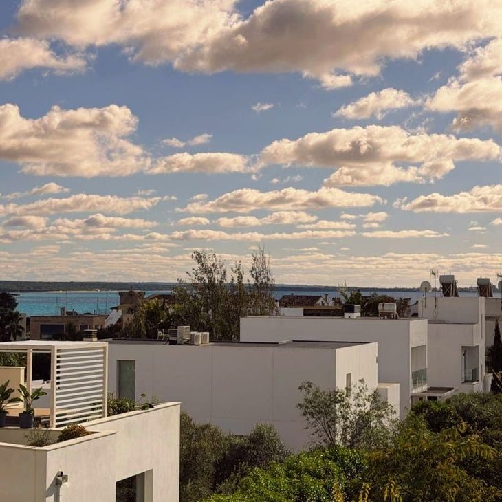 26 career des Torrent, Campos, Balearic Islands 07639 - Photo 1