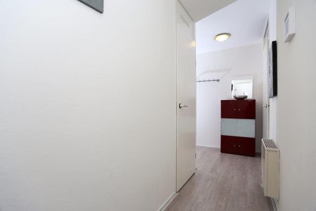 Palaceplein 178, Belgisch Park, 2587WK, Den Haag - Foto 2