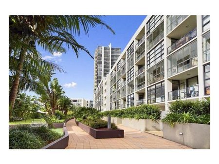 Live the Resort Life! Dual-Courtyard Apartment - Photo 4