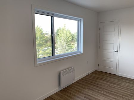 3600-203 ( juin) 5½, Imelda-Lefebvre, Sherbrooke J1N 1G6 - Photo 5