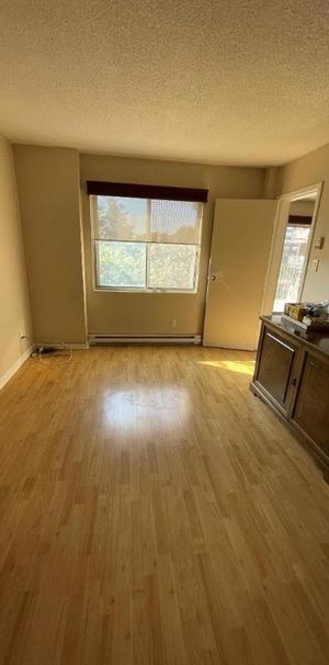 2 CH - 1 SDB - Côte Saint-Luc - $1,645 /mo - Photo 1