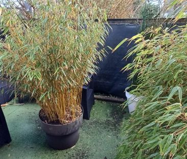 Location Appartement 3 pièces 61m² - Photo 4