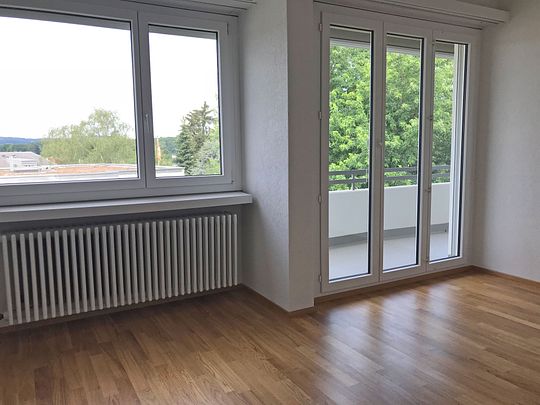 Moderne Wohnung in Zürich Seebach - Foto 1