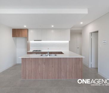 6/1 Markham Avenue - Photo 1