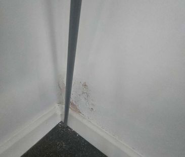 A Captivating Houseshare share for Rent in Hartlepool Room 3 - Photo 6