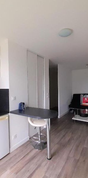 Location Appartement 1 pièce 25m² TOURS 37000 - Photo 1