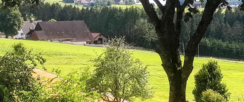 > 15.DEZ/1.JAN. NÖRDL FR, AUSGESTATTET, 2x1. EZ-STUDIO, 6 MON.+ - Photo 1