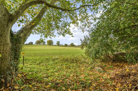 5 bedroom detached house to rent - Photo 5