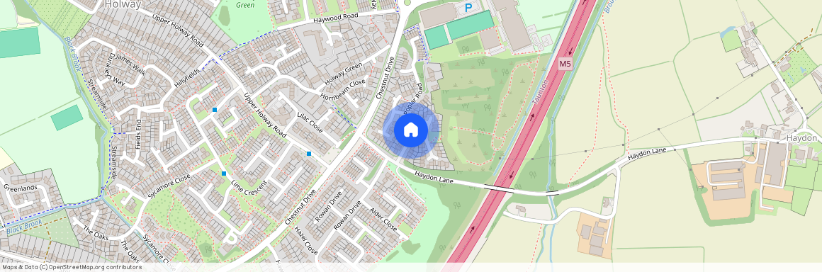 Larch Close, Taunton