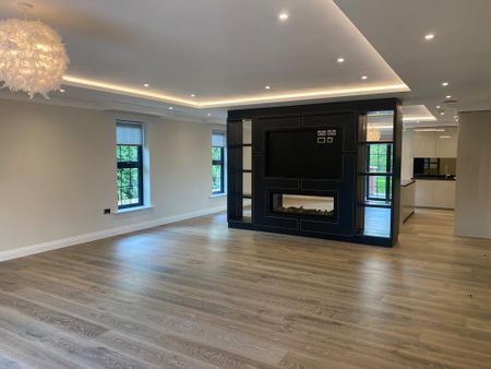 3 bedroom apartment to rent - Photo 3