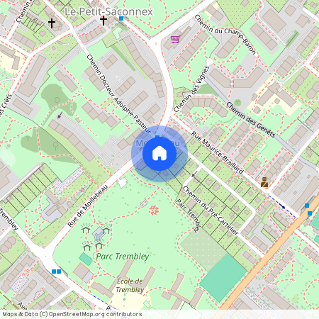 Rue de Moillebeau, 1206 Genève