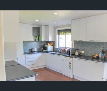 397 Schubach Street, East Albury, NSW 2640 - Photo 5