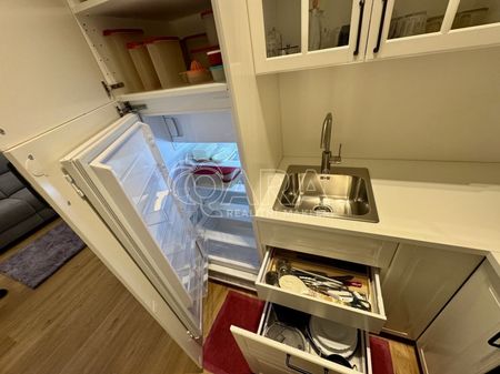 Pronájem bytu 1+kk a garsoniéry 42 m², Malešická , Praha - Photo 4