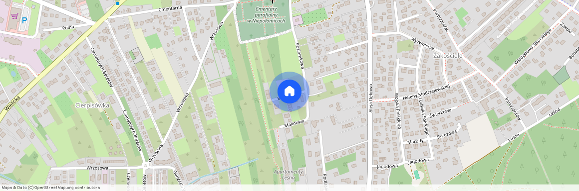 ul. Borówkowa, Niepołomice, Niepołomice, wielicki, małopolskie