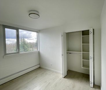 Camelia Court - Photo 6