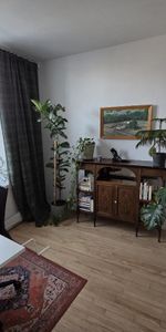 Beau logement 4½ rénové récemment, dans Rosemont-La-Petite-Patrie, près de la piste cyclable et du Plateau Mont-Royal - Photo 4