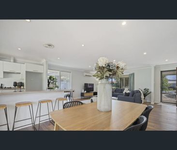 Stylish Family Home with Huge Backyard & Powered Workshop!! - Photo 2