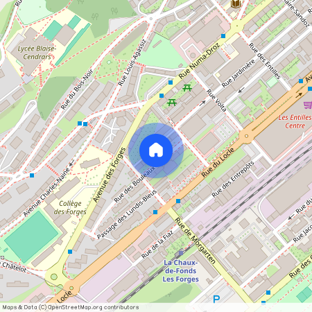 Rue des Bouleaux 8, 2300 La Chaux-de-Fonds