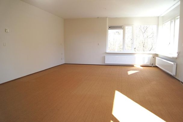 Appartement te huur: Commissieweg 31 9244 GB Beetsterzwaag - Photo 1