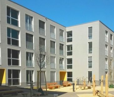 For your well-being! - Photo 3