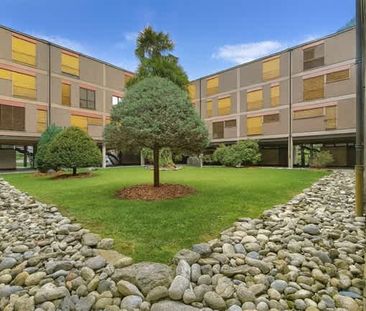 3.5 Zimmer, EG - Photo 6