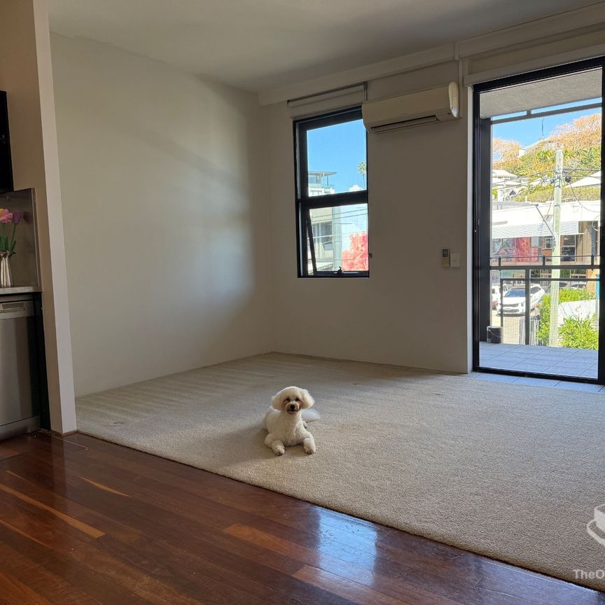 Pet-Friendly Apartment in The Cannery – Lifestyle Living in Teneriffe - Photo 1