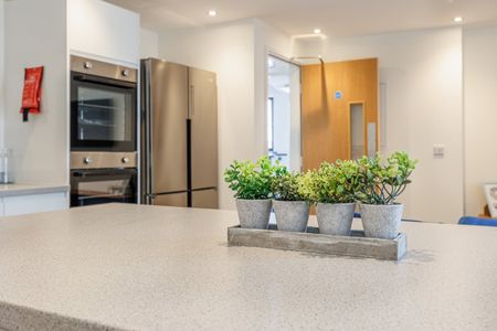 5 Bed Flat, Regent Terrace, S3 - Photo 4