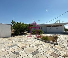Μονοκατοικία για ενοικίαση - Νέα Μάκρη, - Photo 6