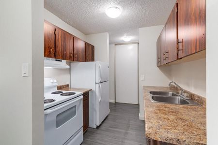 Premier Suite - 1 Bedroom - Photo 5