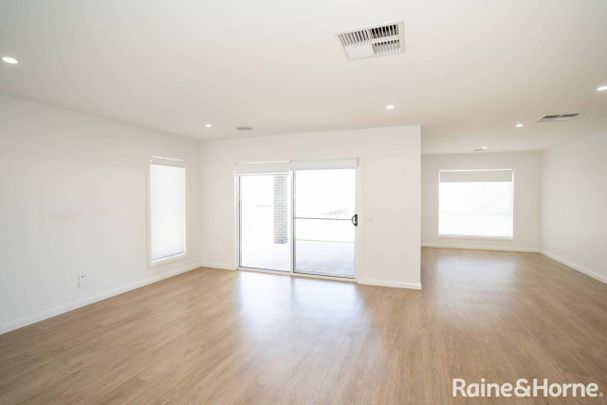 Jump into Jumbuck - Photo 1