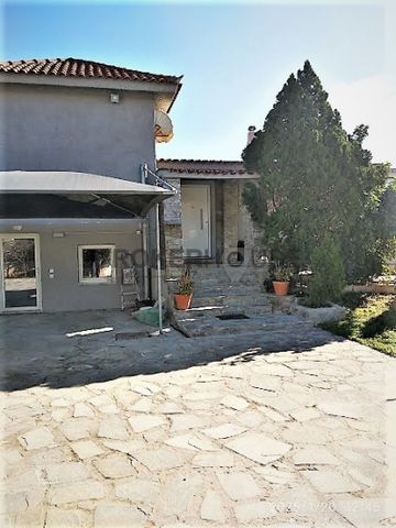 Βίλα για ενοικίαση Λαγονήσι (Καλύβια Θορικού) - Photo 5