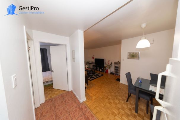 4153 rue du Barrage - Photo 1