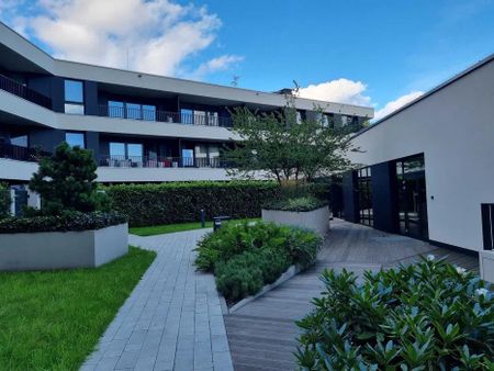 Apartament | 2 pokoje | Śródmieście | Wyposażenie - Zdjęcie 5