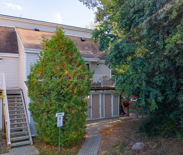 For Lease - 49 Trott Boulevard Unit# 179, Collingwood, Ontario - Photo 6